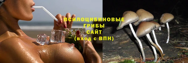 мдпв Верхний Тагил