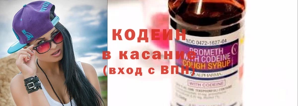 мдпв Верхний Тагил